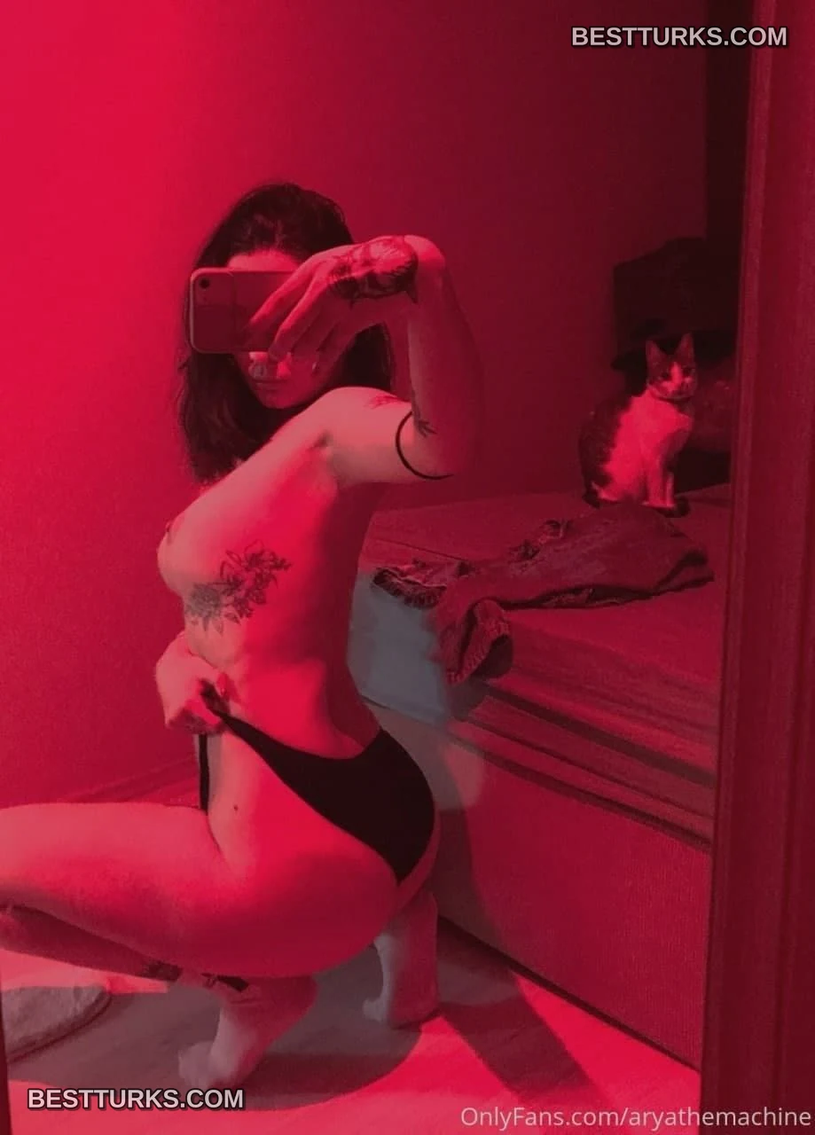 Aryathemachine
