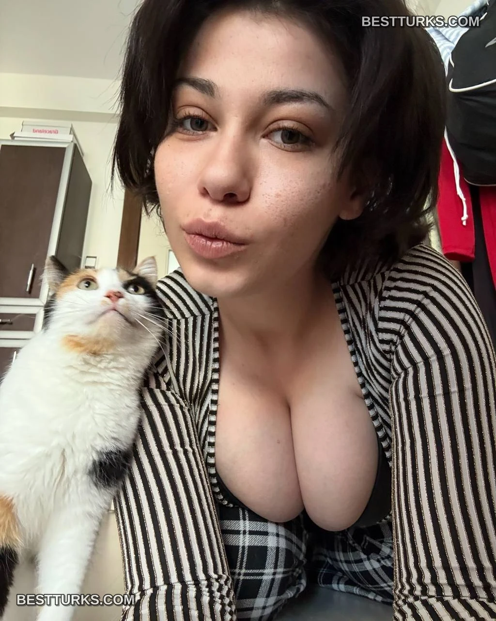 Cansucakal