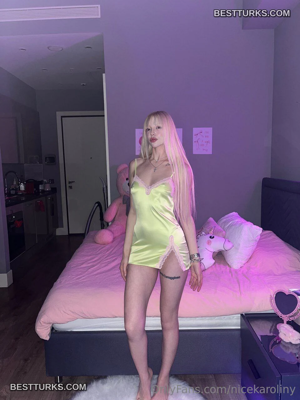 Nicekaroliny