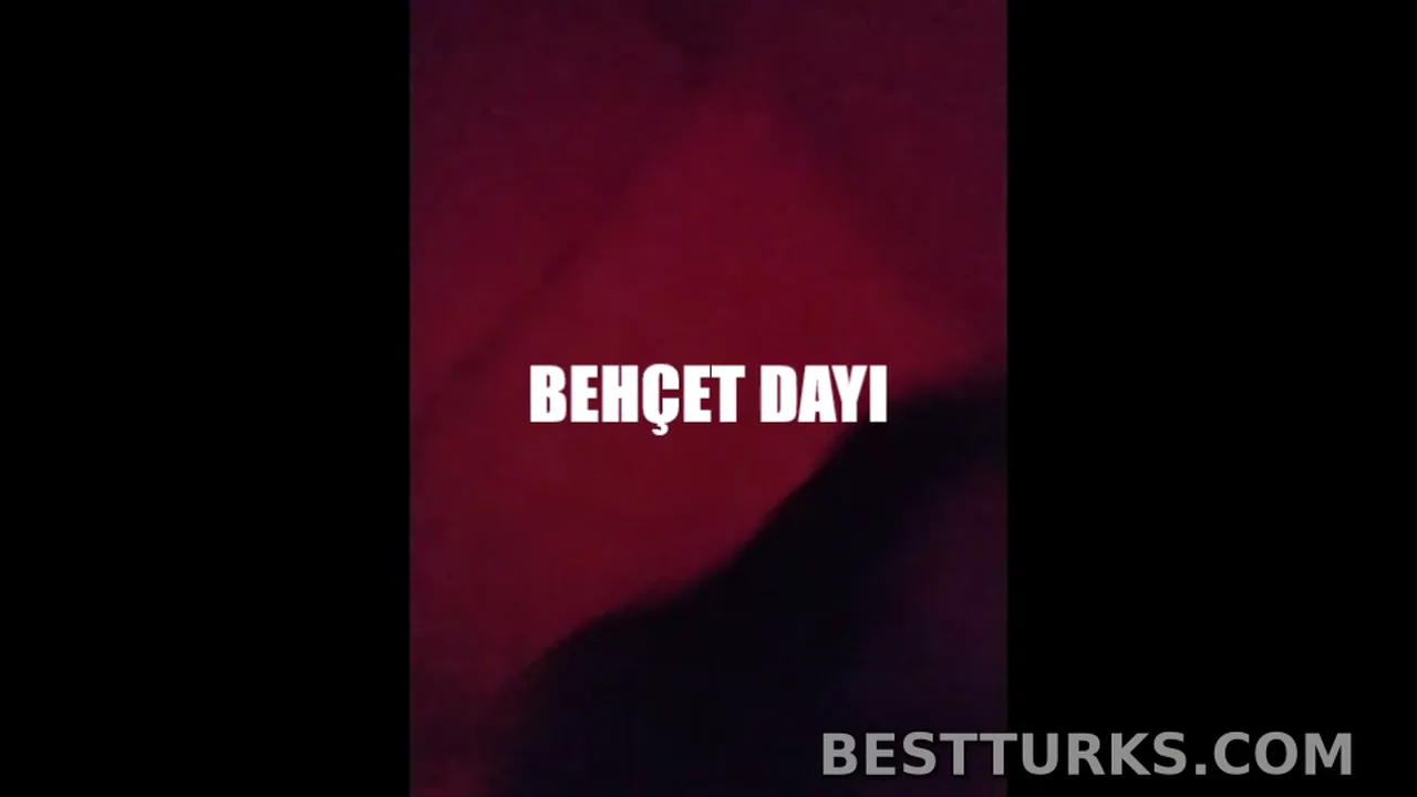 Yalniz Kedi